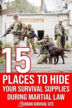 If the government declares martial law, they may go door to door searching for hidden survival supplies. Here's where to hide them. Survival Cache, Shtf Preparedness, Emergency Prepardness, Survival Supplies, Emergency Plan