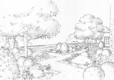 a drawing of a garden with trees and bushes