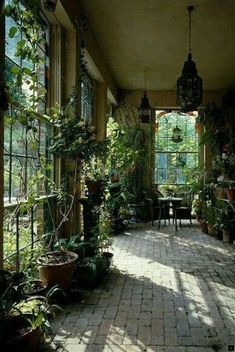 a room filled with lots of potted plants next to an open window on top of a brick floor