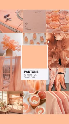 Peach fuzz è il colore Pantone del 2024, un color pesca (che vira all’arancio), dolce e gentile. Peach Fuzz Dress, Pantone 13-1023 Peach Fuzz, Peach Fuzz Makeup, Peach Fuzz Nails