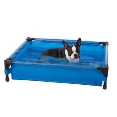 a black and white dog laying on top of a blue pool