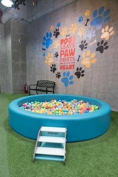 an inflatable dog pool with colorful balls and paw prints on the wall behind it