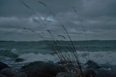 waves crashing on the shore with rocks and grass in foreground, under a cloudy sky