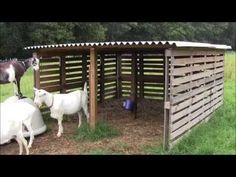 two goats and one horse are standing in the hay next to a wooden structure with a roof