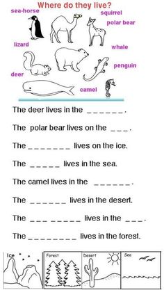 an animal and its habitat worksheet for kids to learn how to read the animals