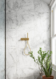 a bathroom with white marble walls and flooring, a plant in a pot next to the shower head