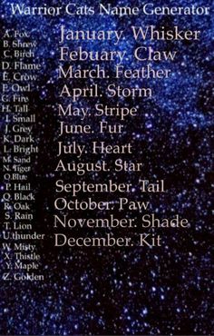 the poster for warrior cats name generator, which is written in black on a blue background