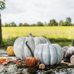 Simon Pearce, Large Pumpkin, Small Pumpkins, Luxury Jewelry, Boutique, Holiday Decor