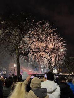 fireworks are lit up in the night sky above trees and people looking at them from below