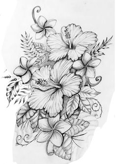 a pencil drawing of flowers and leaves