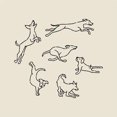 an image of dogs jumping in the air with their tails spread out and legs extended