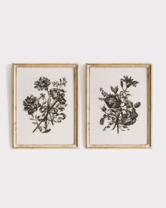 two black and white floral prints hanging on a wall next to each other in wooden frames