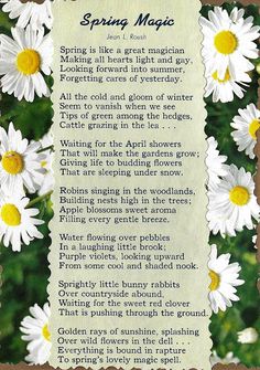 a poem written in white daisies with the words spring magic on it's border