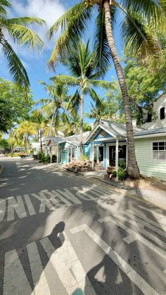 the shadow of a person riding a skateboard on a street with palm trees in the background