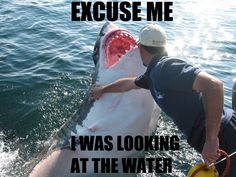 a man holding onto a shark in the water with caption that reads, i was looking at the water