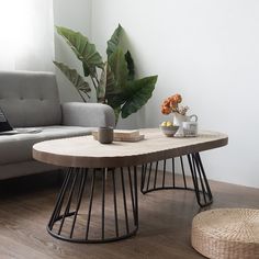 a living room with a couch, coffee table and potted plant