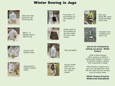 instructions on how to use winter sowing in jugs