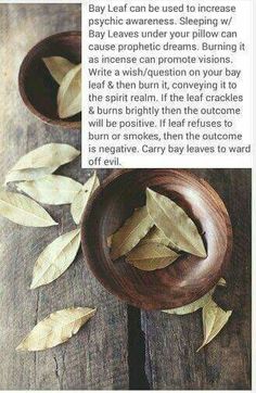 Magick Spells, Witch Spell, Bay Leaf, Wiccan Spells, Bay Leaves, Spells Witchcraft