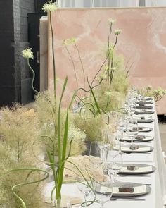 a long table is set with white plates and silverware