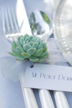 a place setting with silverware and a succulent