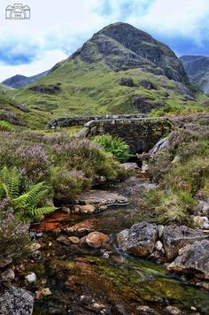 a small stream running through a lush green mountain valley with rocks and plants in the foreground