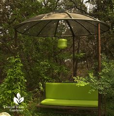 a green couch under an umbrella in the woods