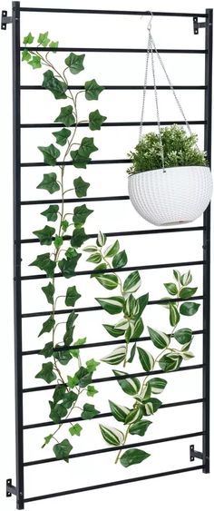 Wall Mounted Black Metal Horizontal Bars Trellis, Outdoor Hanging Support Frame | eBay Trellis Over Brick Wall, Metal Trellis Door, Metal Wall Planters Tree, Climbing Garden, Wall Mounted Trellis, Wire Trellis, Trailing Flowers, Metal Trellis, Garden Works