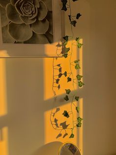 a potted plant sitting on top of a table next to a mirror