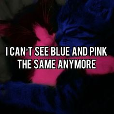 a black and white cat laying on top of a bed next to the words i can't see blue and pink