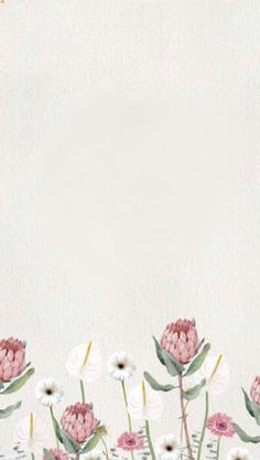 an image of flowers on a white background with space in the middle for text or photo