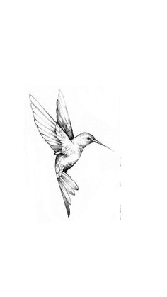 a black and white drawing of a bird flying