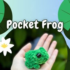 a hand holding a small green frog in it's palm with the words pocket frog above it