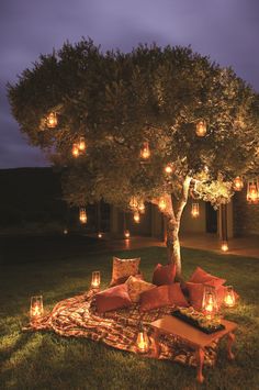 a tree with lanterns hanging from it and some pillows on the ground next to it