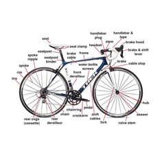 the parts of a bicycle on a white background with red and blue lettering in english