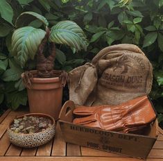 there is a potted plant next to a wooden box and other items on the table