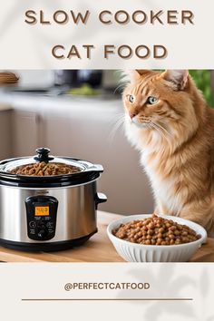 a cat sitting next to a slow cooker and bowl of food on a table