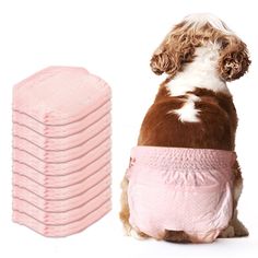 a brown and white dog sitting next to a stack of pink diapers on top of it's back legs