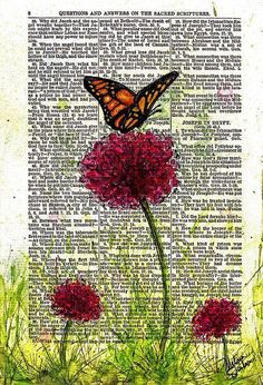 a butterfly sitting on top of a flower in front of a book page with words