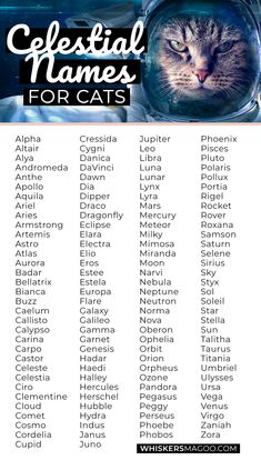 the celestial names for cats are shown