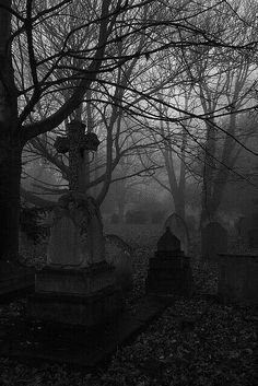 black and white photo of graveyard in the foggy woods with tombstones on either side