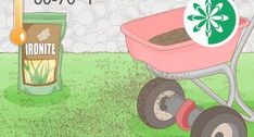 How to Grow Grass Between Pavers: 12 Steps (with Pictures) Bermuda Grass, Wheat Grass