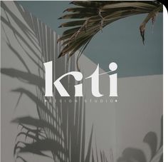 a palm tree casts a shadow on the wall that reads, kiti electronicistudition