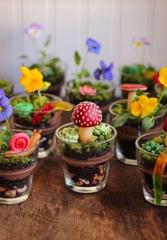 small glass vases filled with miniature plants and mushrooms on top of a wooden table