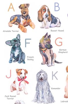 an image of dogs that are in the english letter formation for each dog's name