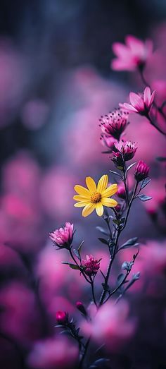 a yellow flower sitting on top of a lush green field