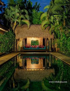 the pool is surrounded by lush vegetation and palm trees