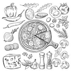 hand drawn pizza and ingredients for cooking