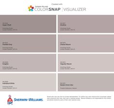 the colorsnap visualizer is available for all types of paint and wall finishes