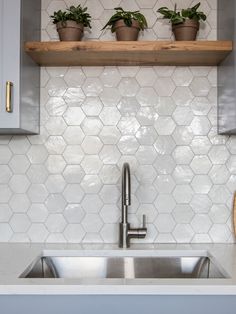 a kitchen sink with two plants on the shelf above it and a wooden cutting board