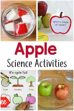 apple science activities for kids to learn